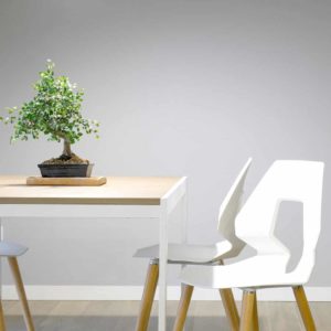 Study table